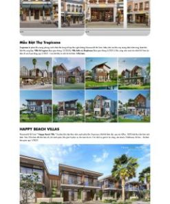 Theme wordpress bds novaland