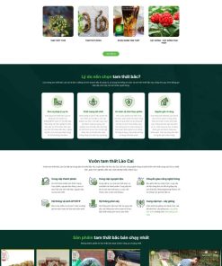 Theme wordpress bán tâm thất bắc