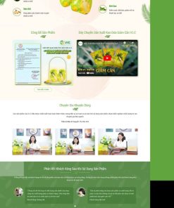 Theme wordpress bán hàng thực phẩm kẹo dứa
