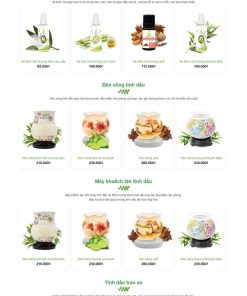 Theme wordpress bán hàng thực phẩm chức năng 22