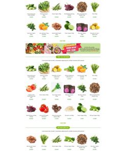 Theme wordpress thực phẩm 26 ,trái cây sạch