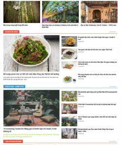 Theme wordpress tin tức 11 - review du lịch