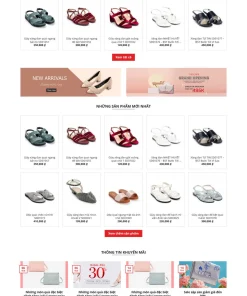 Theme wordpress shop giày nữ