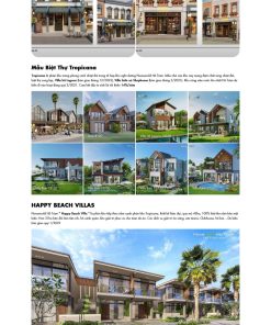 Theme wordpress bds novaland